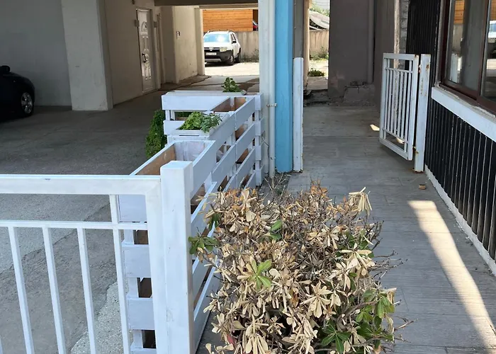 Apartamento Thin Alos *