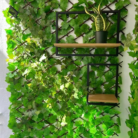 Apartament Thin Alos